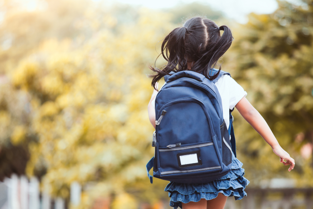 The reasons for a child's reluctance to go to school